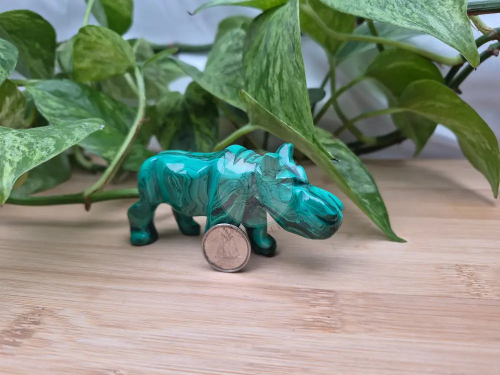 MALACHITE HIPPO