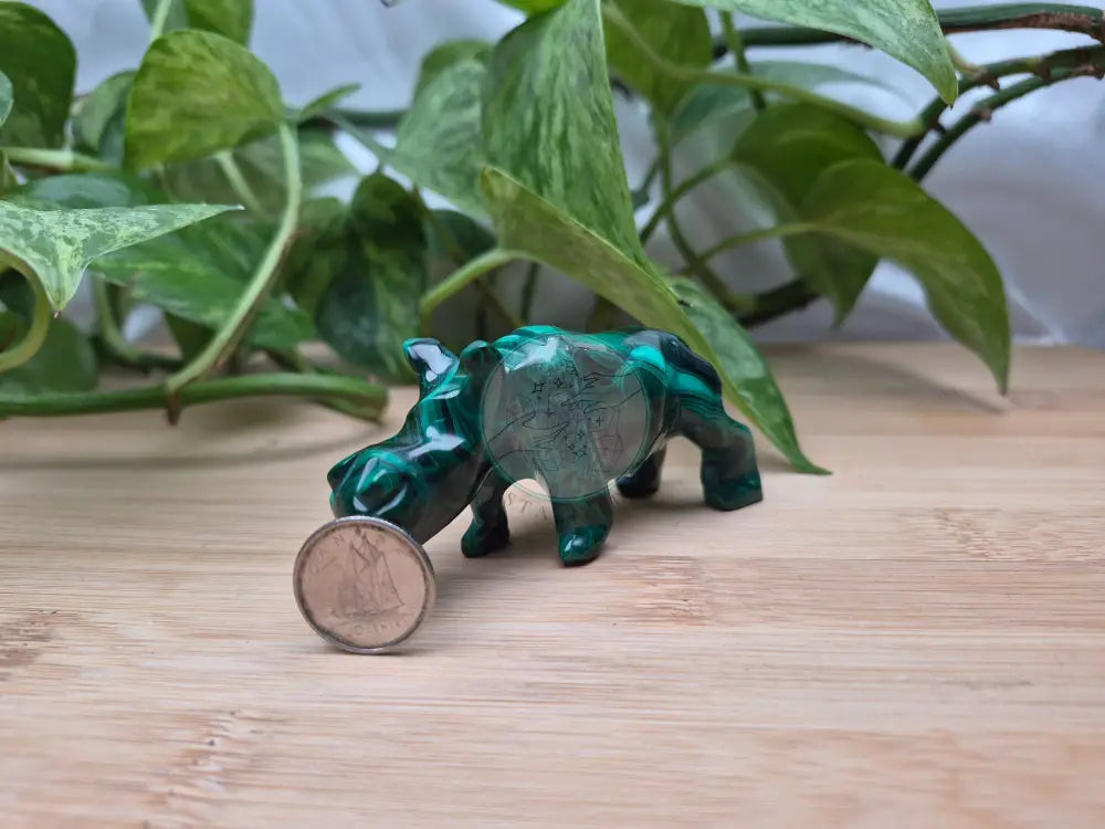 MALACHITE HIPPO