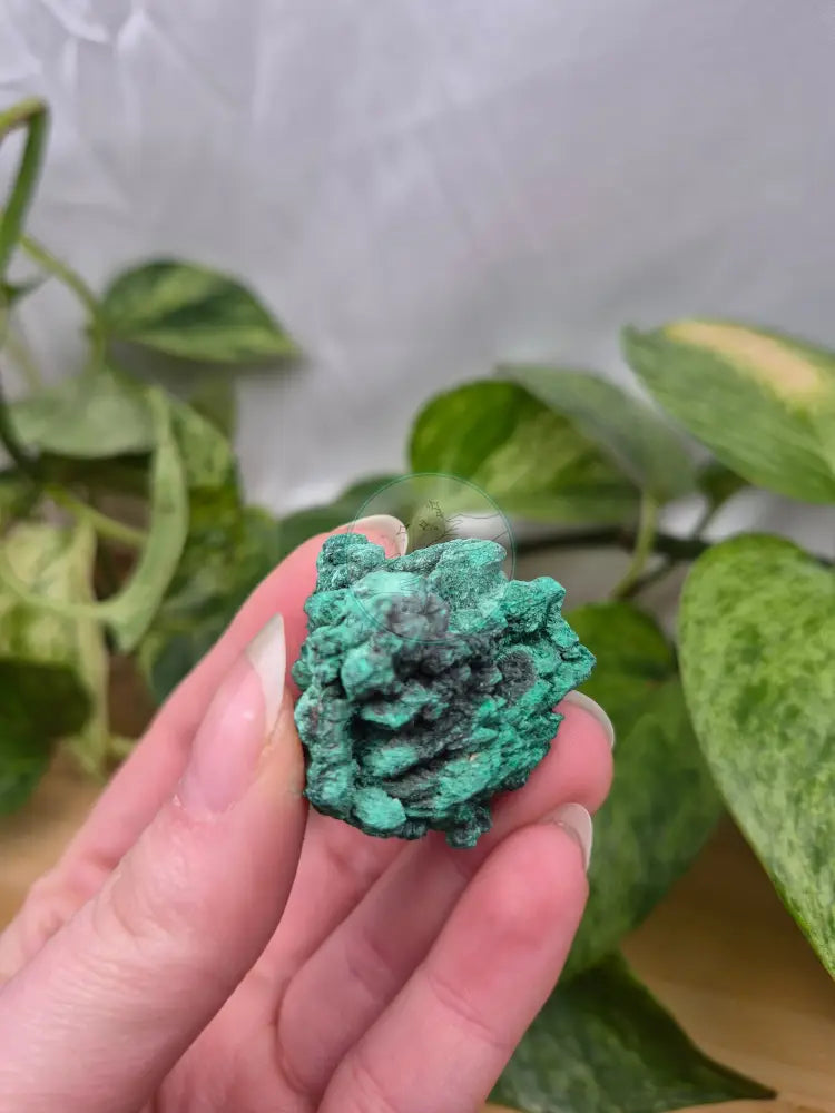 MALACHITE SPECIMEN
