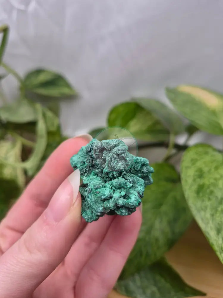 MALACHITE SPECIMEN