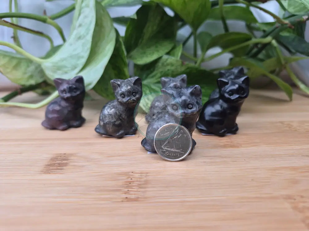 MIXED CATS SITTING - CARVING