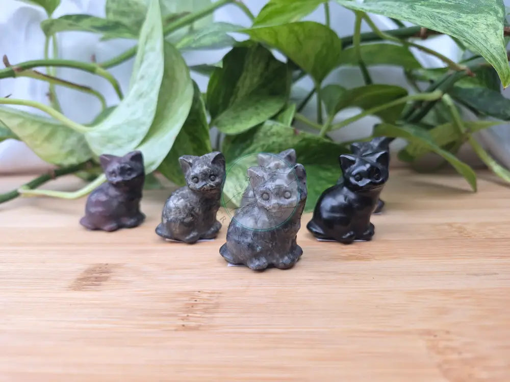 MIXED CATS SITTING - CARVING