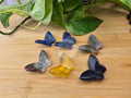 MIXED CRYSTAL BUTTERFLY