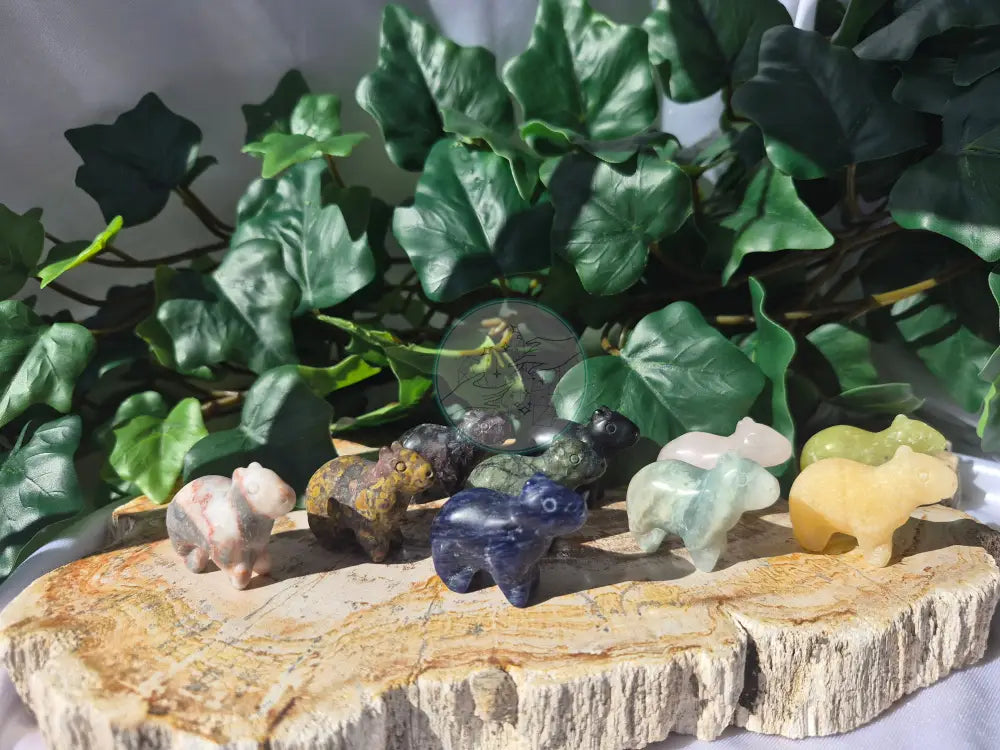 MIXED CRYSTAL CAPYBARA