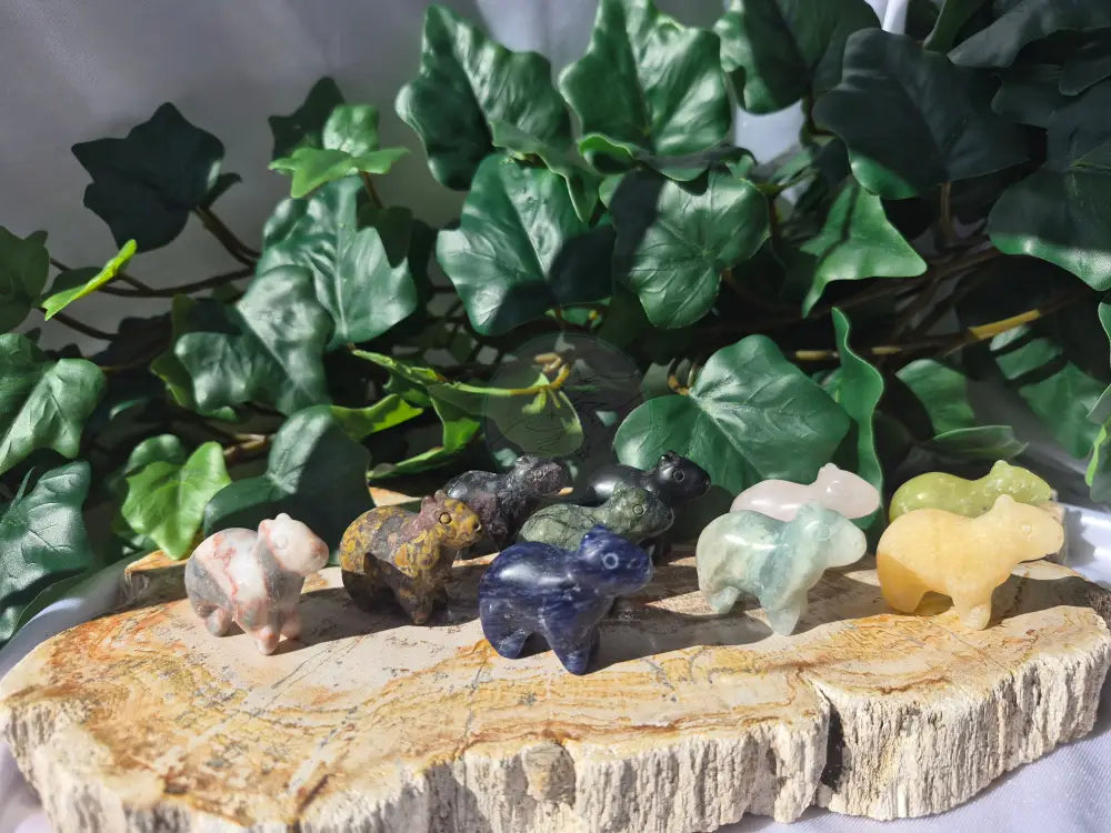 MIXED CRYSTAL CAPYBARA
