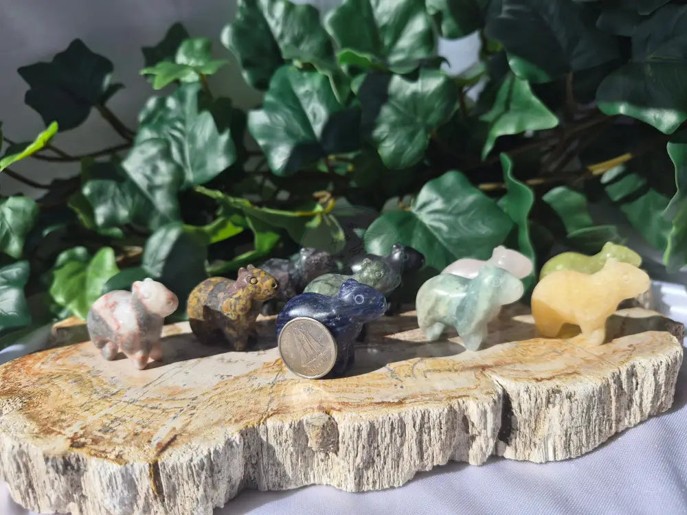 MIXED CRYSTAL CAPYBARA