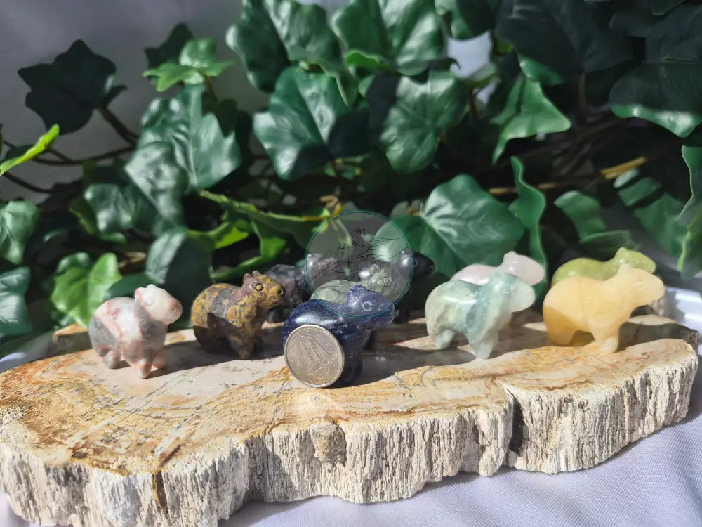 MIXED CRYSTAL CAPYBARA