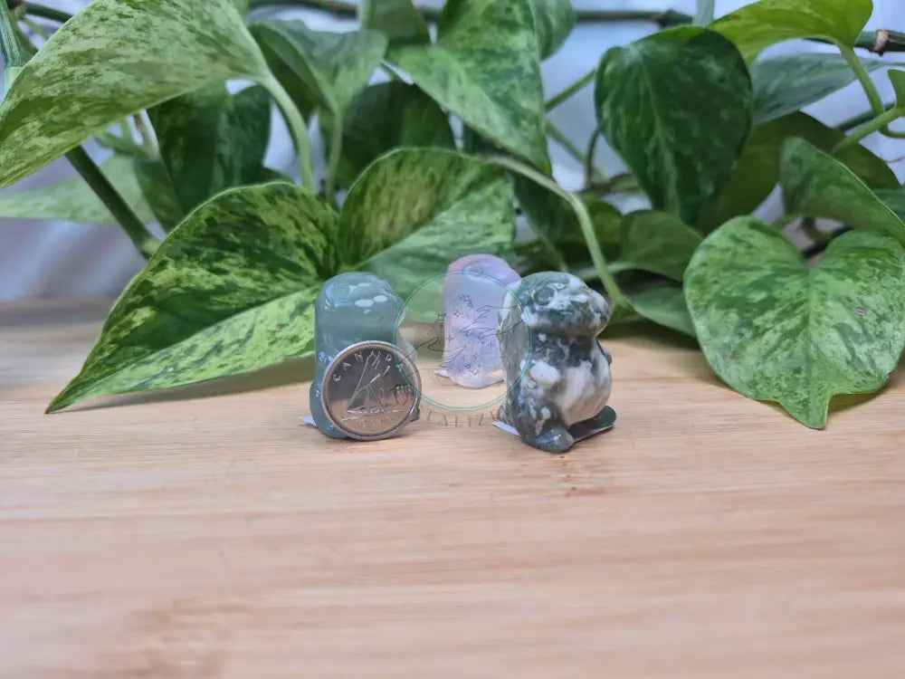 MIXED CRYSTAL CHUBBY DINOSAUR SM