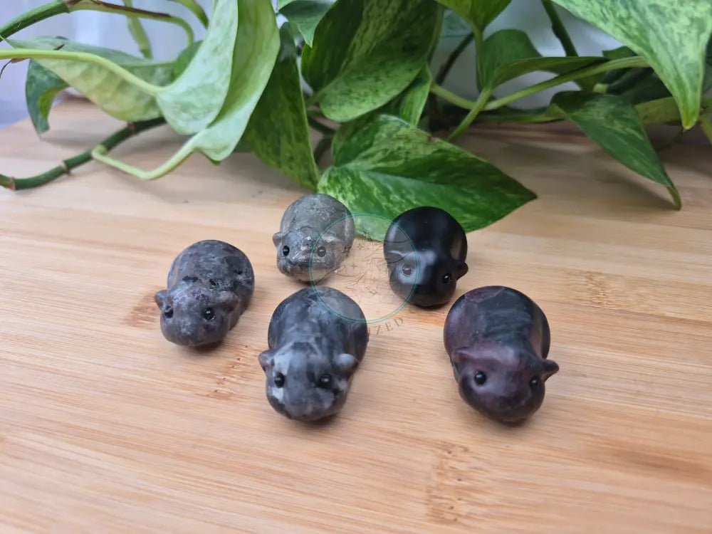 MIXED CRYSTAL HAMSTER