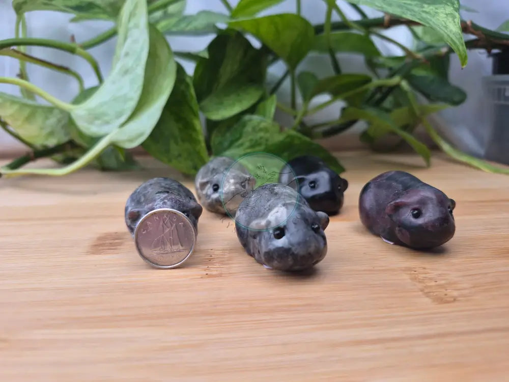 MIXED CRYSTAL HAMSTER