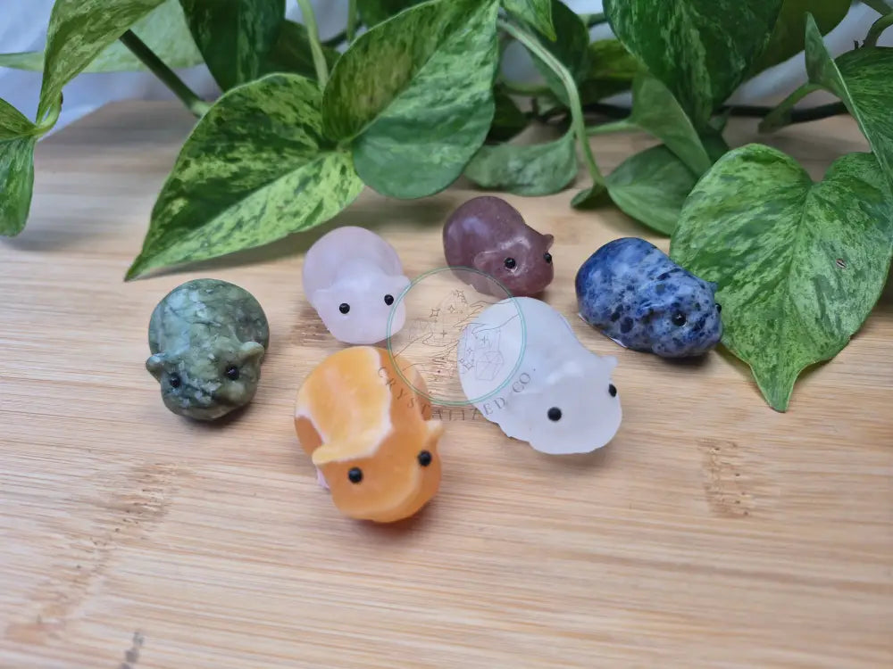 MIXED CRYSTAL HAMSTER