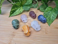 MIXED CRYSTAL HAMSTER