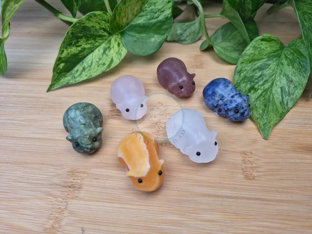 MIXED CRYSTAL HAMSTER
