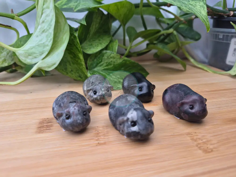 MIXED CRYSTAL HAMSTER