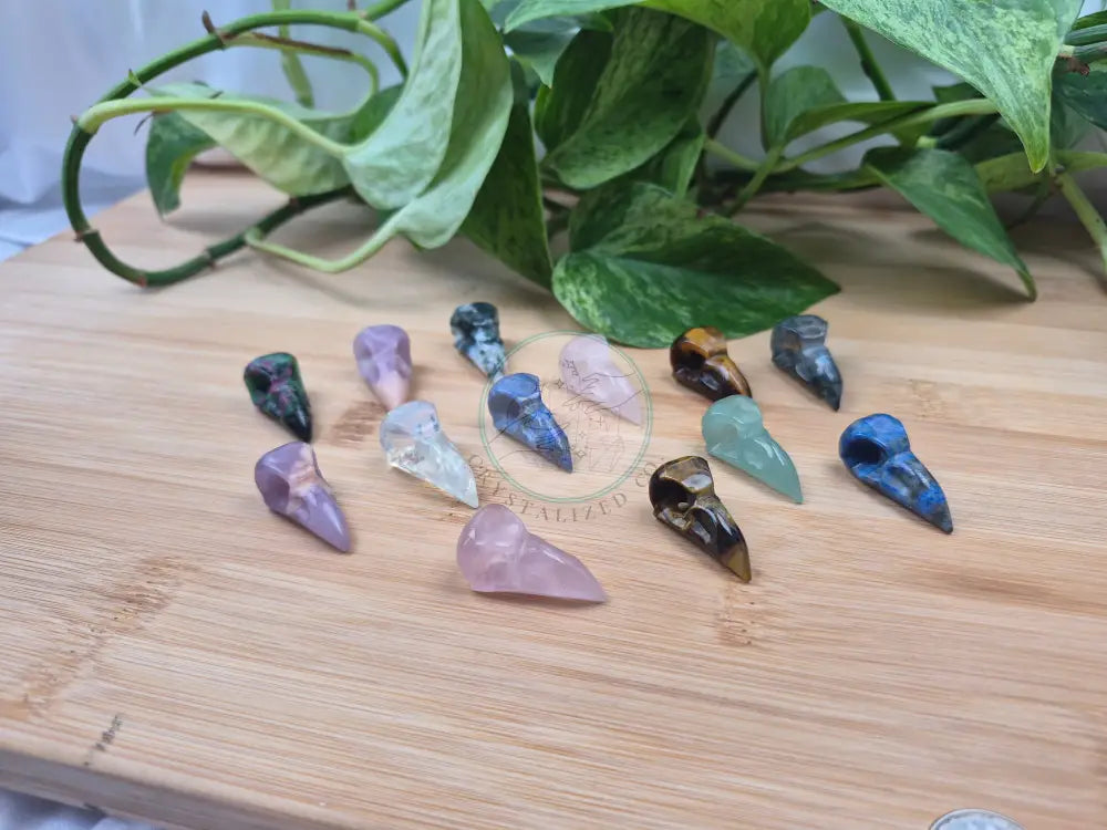 MIXED CRYSTAL MINI BIRD SKULL