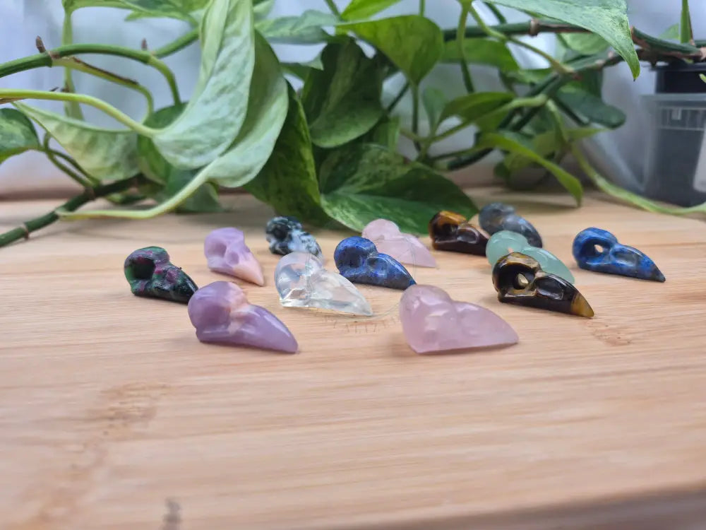 MIXED CRYSTAL MINI BIRD SKULL
