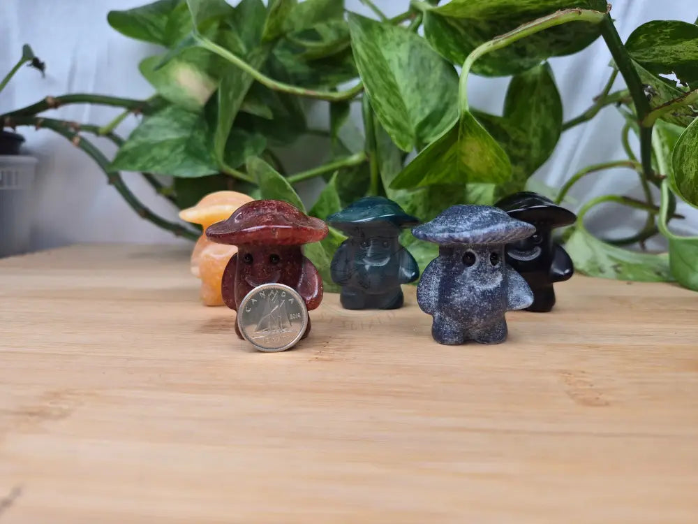 MIXED CRYSTAL MUSHROOM MAN
