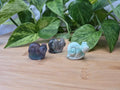 MIXED CRYSTAL SNAIL