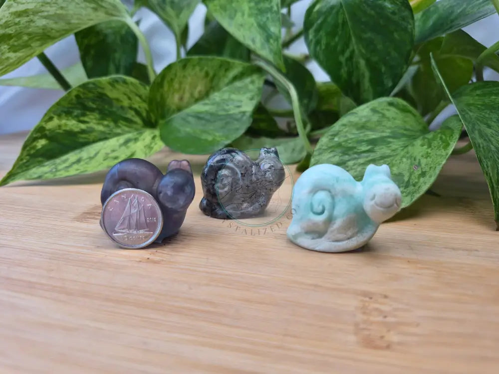 MIXED CRYSTAL SNAIL