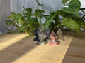 MIXED CRYSTAL YOGA LADY