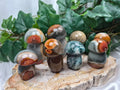 MIXED MUSHROOMS