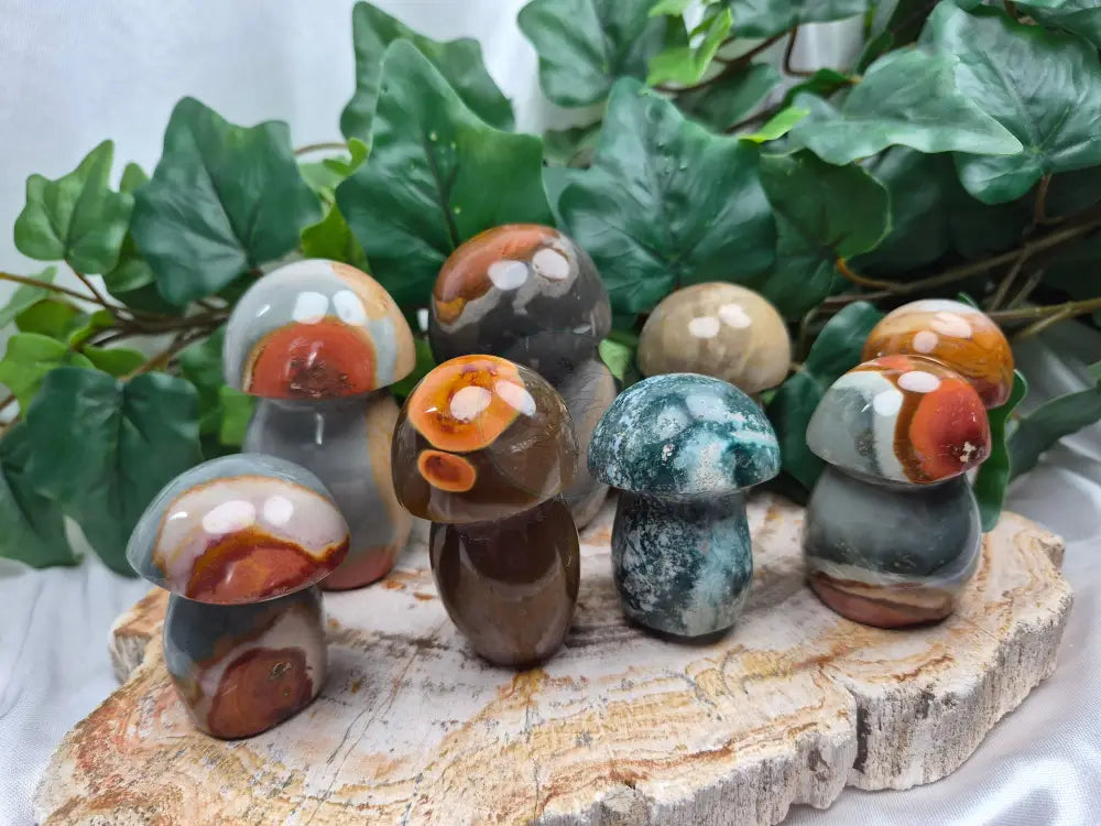 MIXED MUSHROOMS