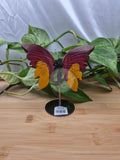 MOOKAITE BUTTERFLY WINGS