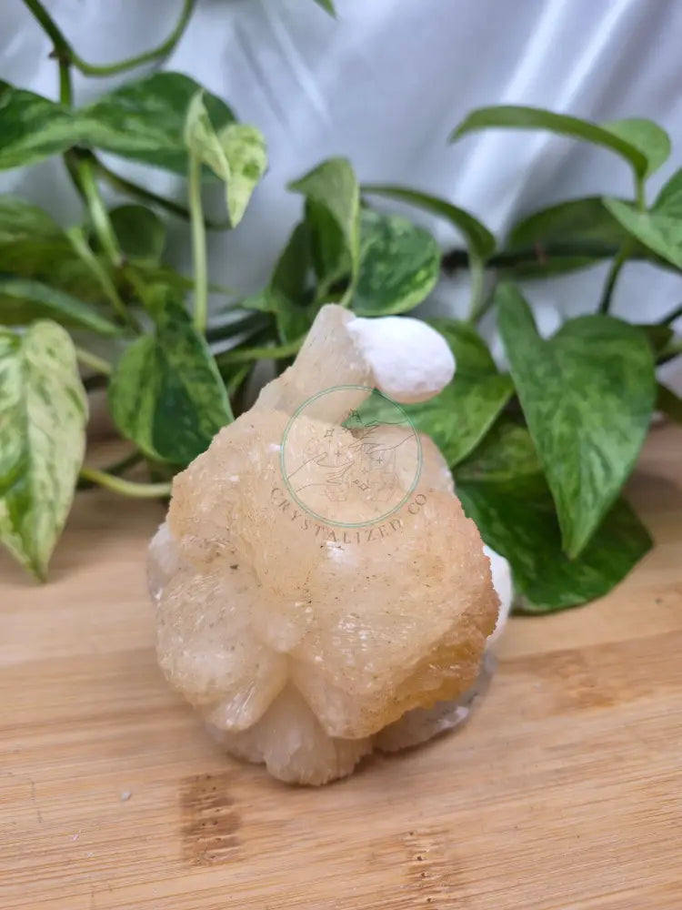 MORDENITE ON STILBITE 290g