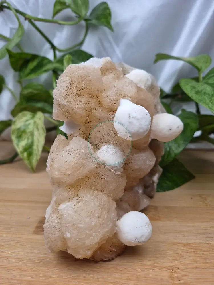 MORDENITE ON STILBITE 687g