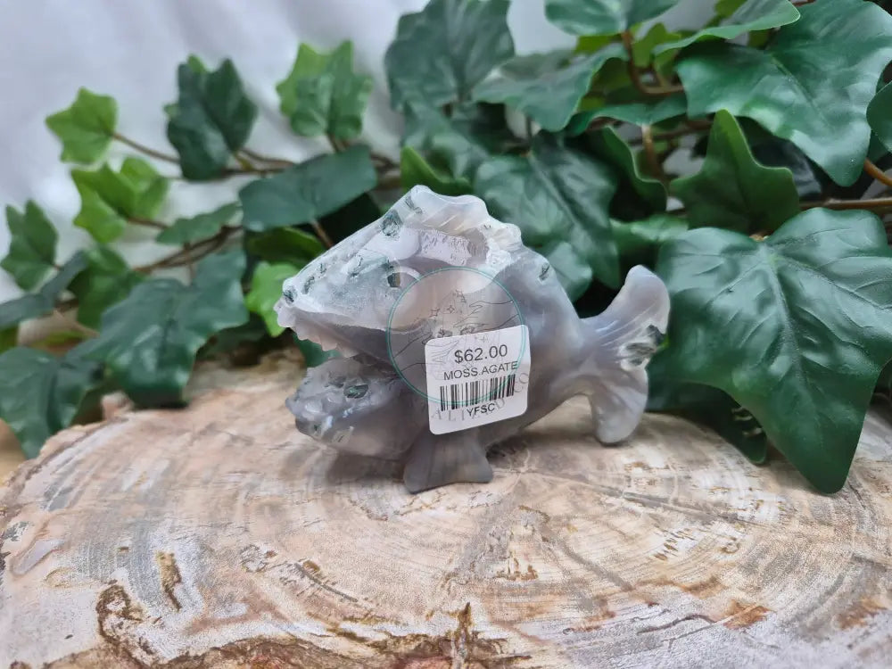 MOSS AGATE ANGLER FISH