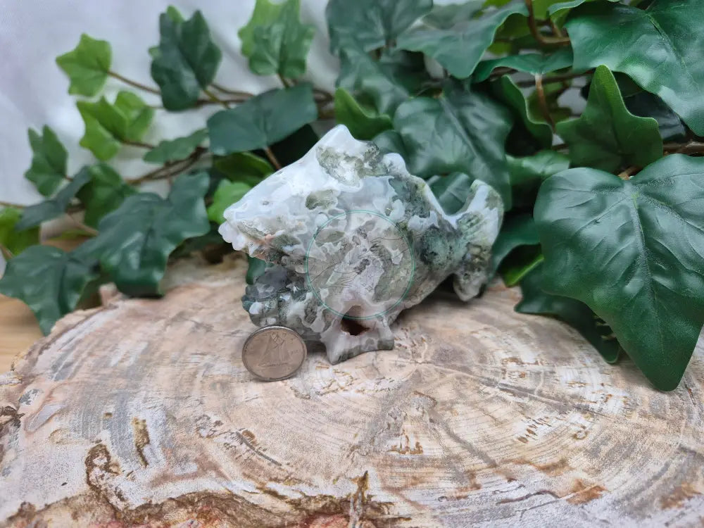 MOSS AGATE ANGLER FISH