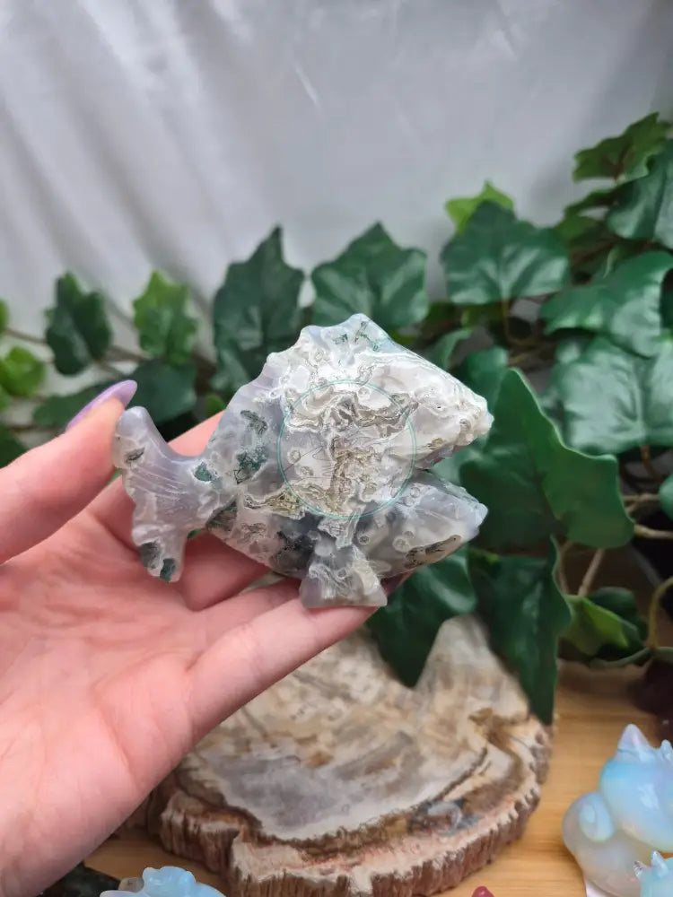 MOSS AGATE ANGLER FISH