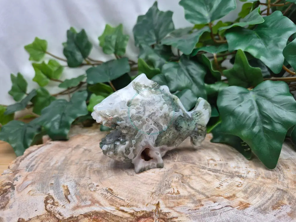 MOSS AGATE ANGLER FISH