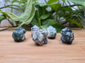 MOSS AGATE BULBASAUR