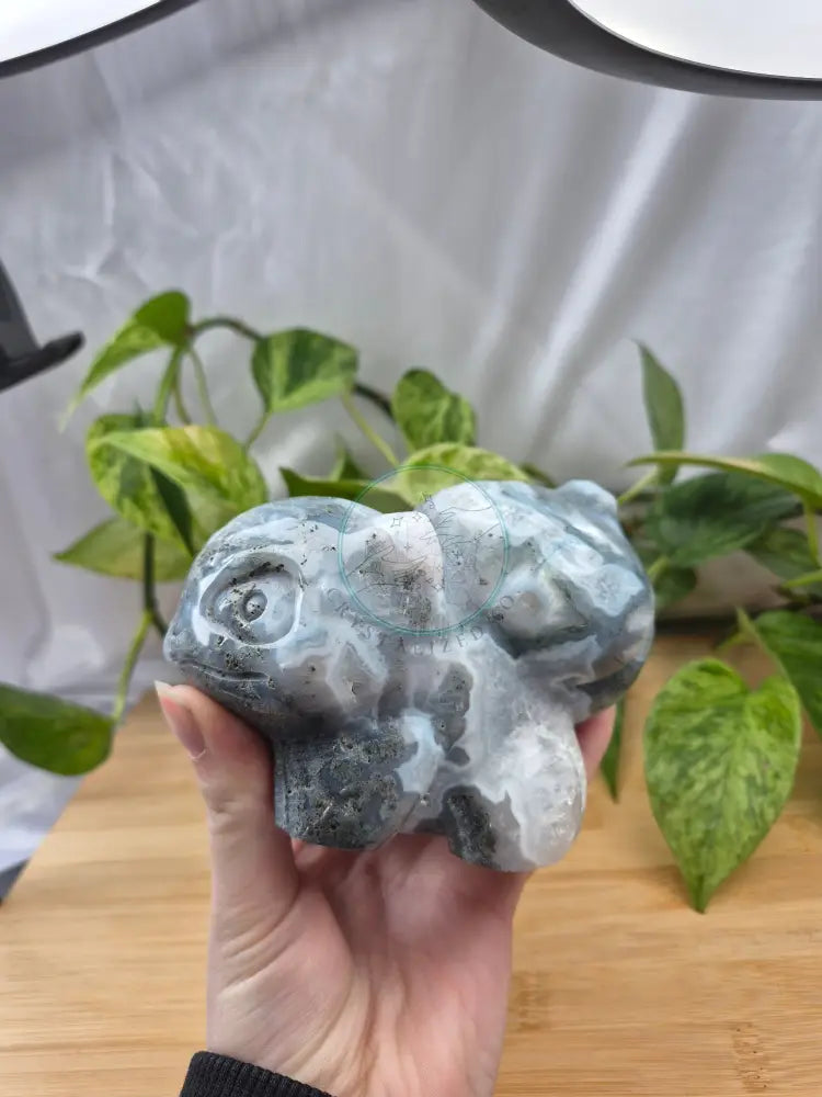 MOSS AGATE BULBASAUR XXL