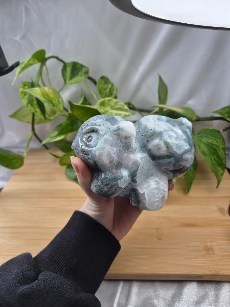 MOSS AGATE BULBASAUR XXL