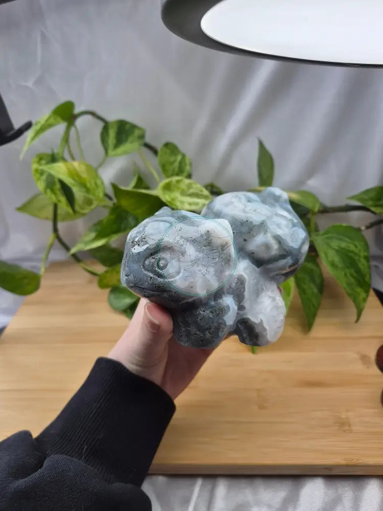 MOSS AGATE BULBASAUR XXL
