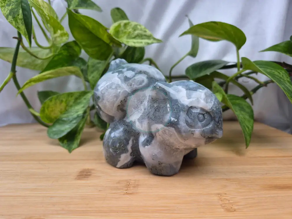 MOSS AGATE BULBASAUR XXL