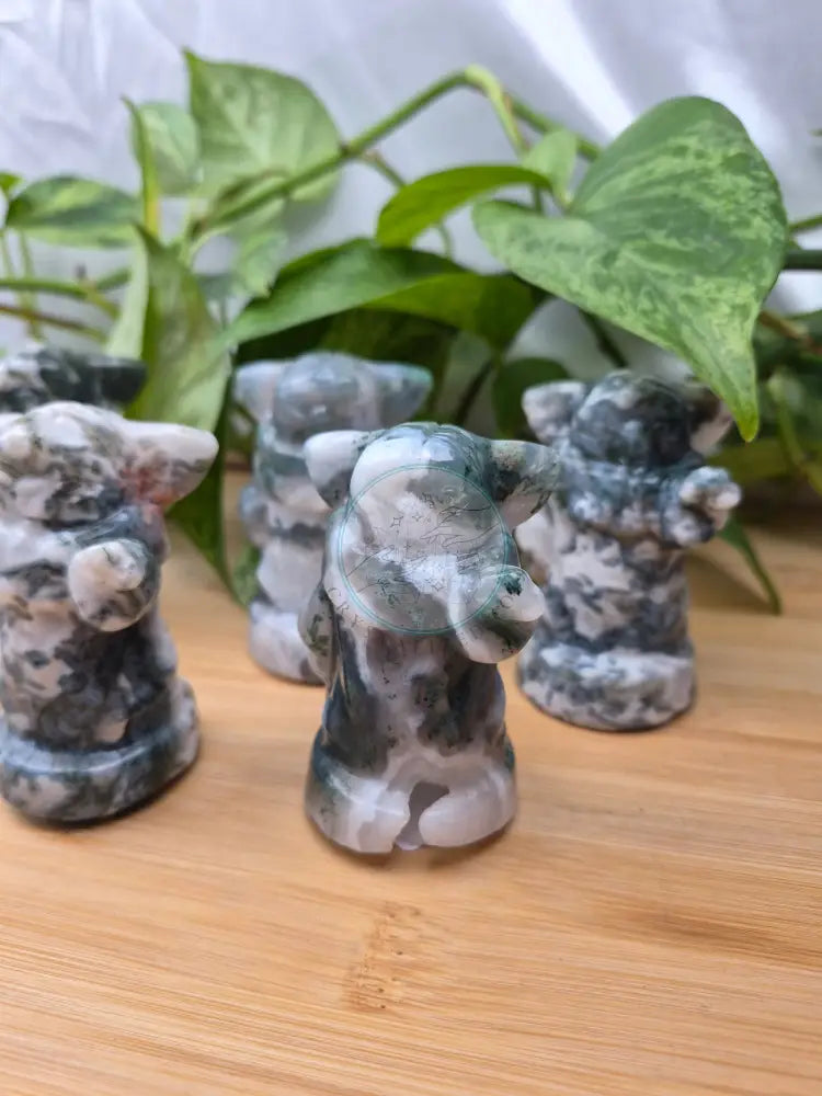 MOSS AGATE GROGU