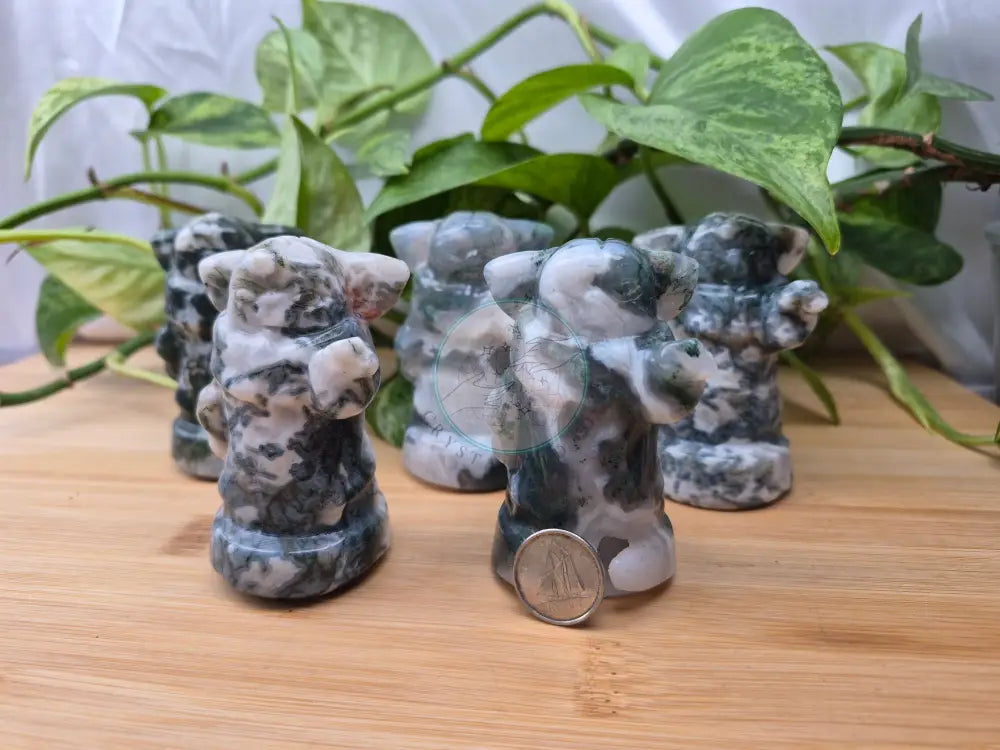 MOSS AGATE GROGU