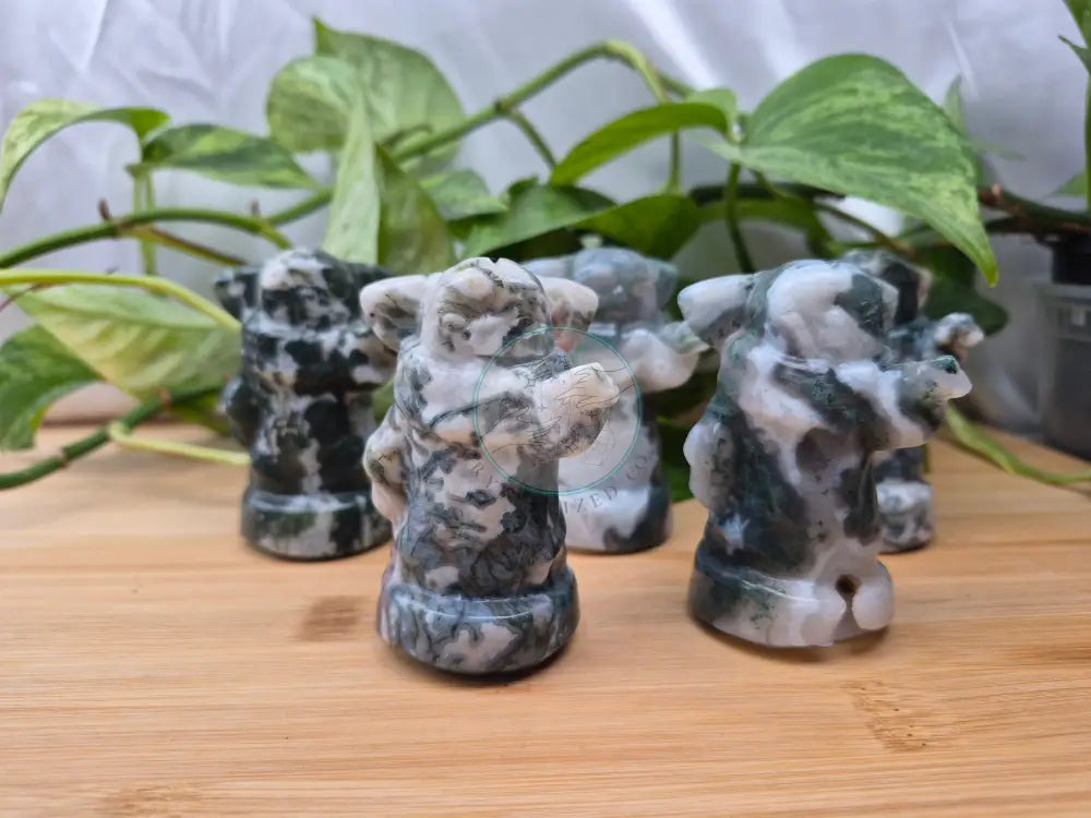 MOSS AGATE GROGU