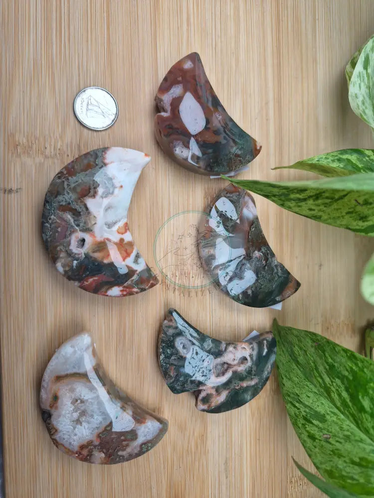 MOSS AGATE MOON