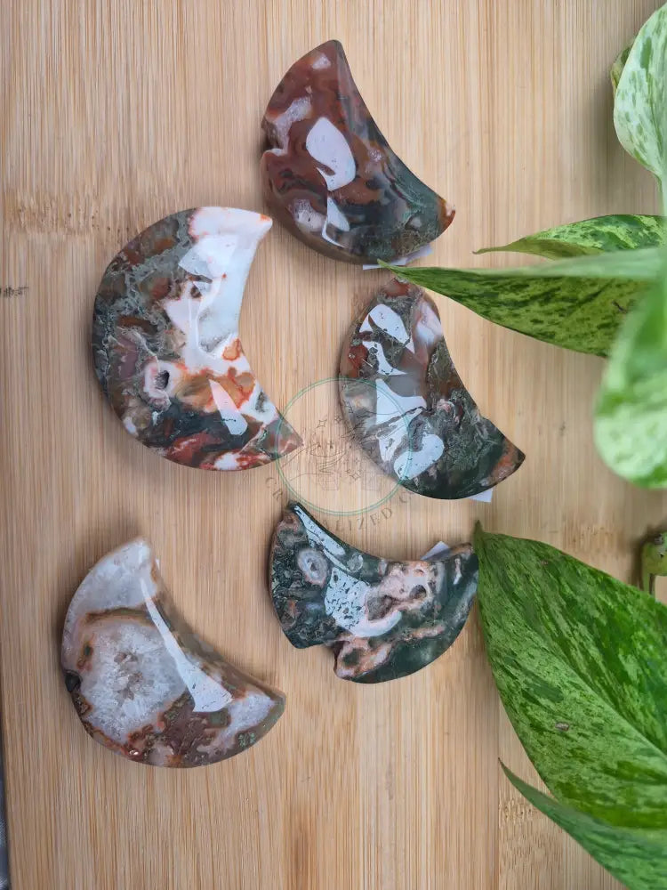 MOSS AGATE MOON