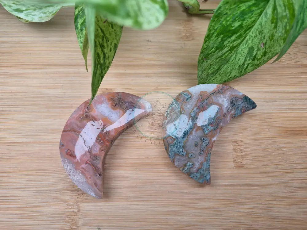MOSS AGATE MOON