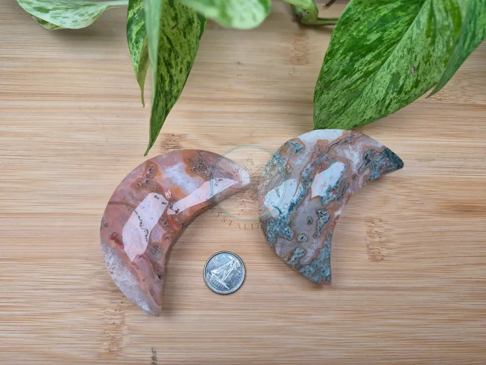 MOSS AGATE MOON
