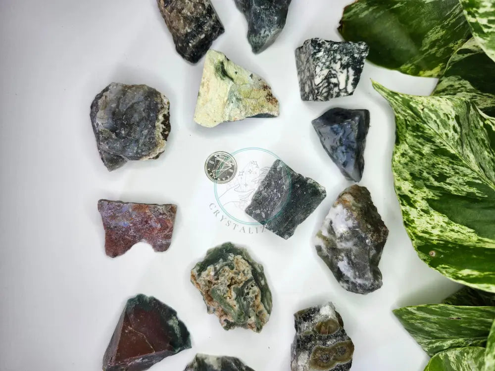 MOSS AGATE ROUGH STONE - ROUGH STONES