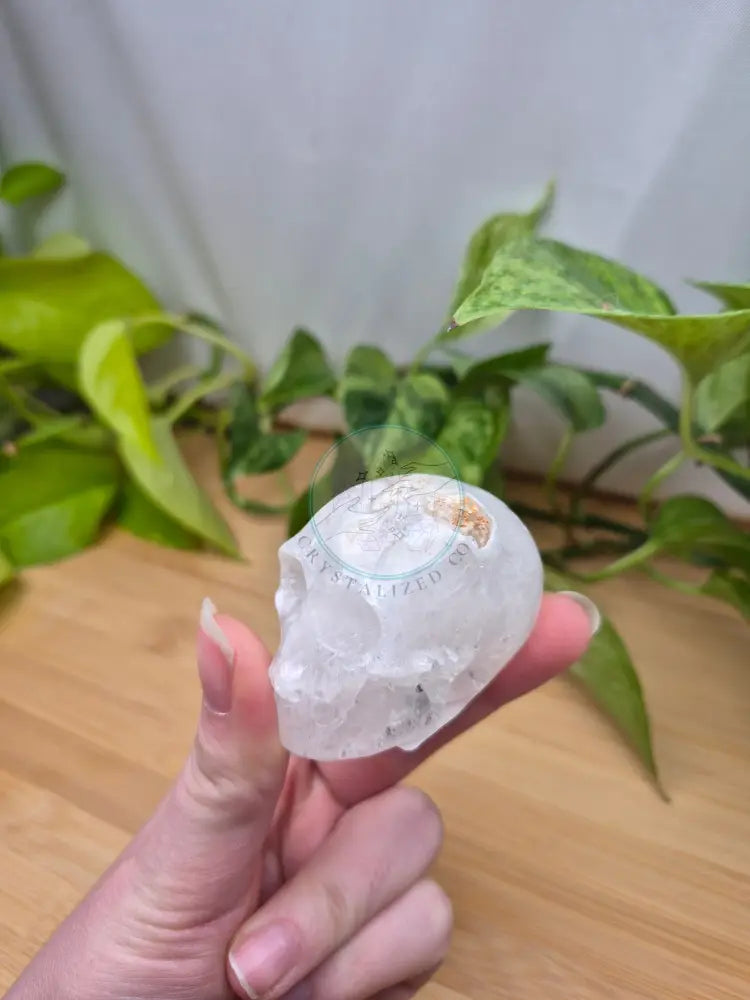 MOSS AGATE SKULL MD