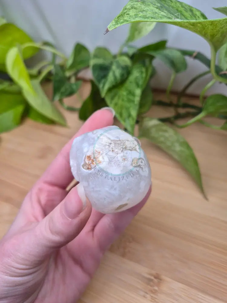 MOSS AGATE SKULL MD