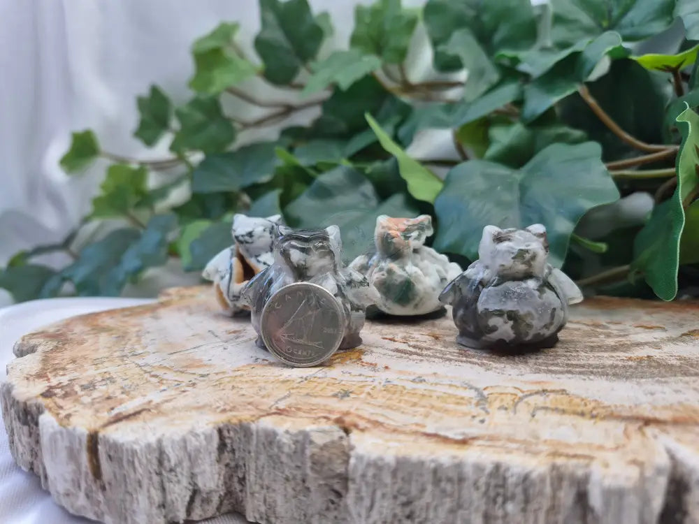 MOSS AGATE SNORLAX
