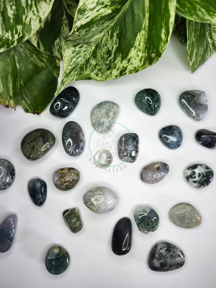 MOSS AGATE TUMBLED STONE - TUMBLED STONES